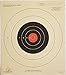 25 Yard Slow Fire Pistol Target Official NRA Target B-16