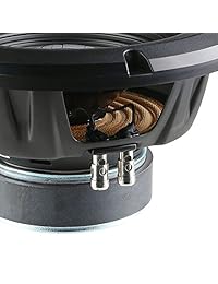 Alpine W10S4 Subwoofer subwoofer de audio de automóvil de 10 "750 vatios pico 250 vatios RMS de 4 ohmios