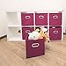 MaidMAX Storage Bins 12x12x12, for Home Organization and Storage, Toy Storage Cube, Closet Organizers and Storage, with Dual Plastic Handles, Fuchsia, Set of 6