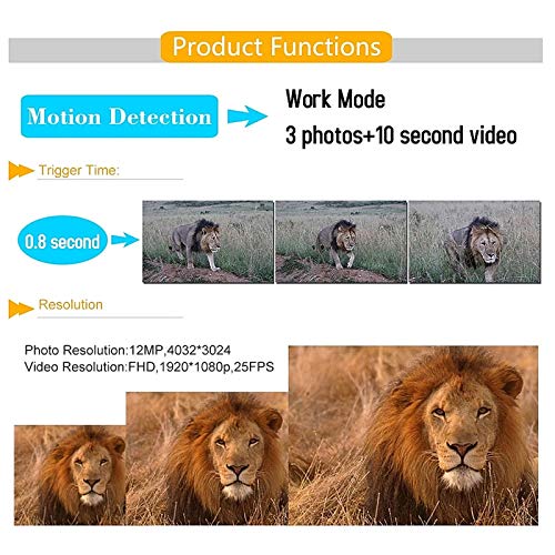 EXCLVEA Wildkamera 1080p Wanderkamera 120 Grad Infrarot LED Jagdkamera IP56 wasserdichte DC 15V Stromversorgung für die… – Bild 3
