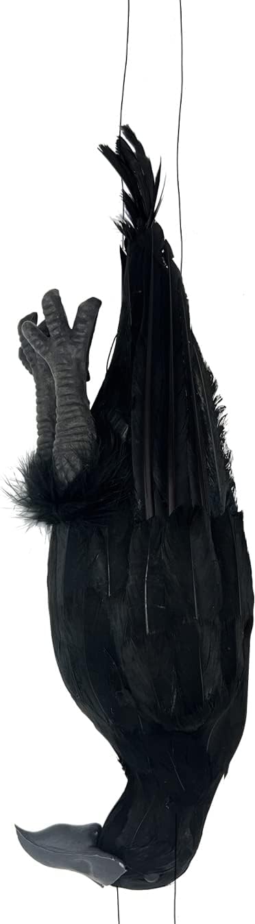 Holiday Décor Storage - Mootikar Get Rid of Crows，17 inch Realistic Dead Crows Decoy Lifesize Large Black Feathered Crow 1 Pack