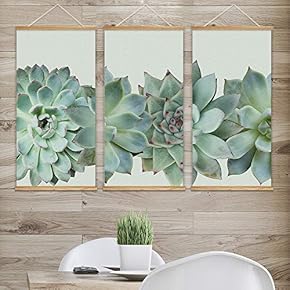 Different Tropical Succulents - 3 Panel Long Hanging Poster