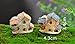 SUN-E 8pcs(Random Color) in Set Moss Fairy Miniature Fairy Garden Stone House Statue Home Decoration Outdoor Decor