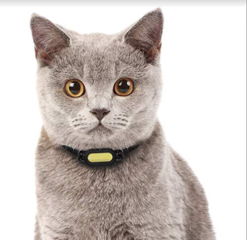 PETBLE Dog Cat Pet Smart Tag Tracker - Portable Bluetooth Wireless 4.0 Lightweight, Waterproof, Compatible with Multiple Smart Devices 24/7 Activity Monitor Pet Health Tracker for IOS Android (Yellow) - Thumbnail 6