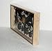 REAL Multiple INSECTS BEETLES Scorpion Cicada Bat Spider Taxidermy Collection Display in Wooden Box