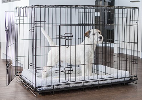 Lucky Dog 2 Door Dog Kennel (36-inch) - Thumbnail 2