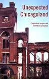 Front cover for the book Unexpected Chicagoland by Camilo Jose Vergara