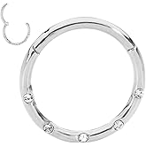 365 Sleepers 316L Surgical Steel Hypoallergenic 16G Gem Septum Jewelry Hinged Segment Ring Body Piercing Hoop Lip Rings Helix Cartilage Rook Sleeper Earrings 8mm – 10mm