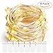Battery Operated String Lights, DecorNova 5 Feet 30 LED Micro Fairy String Lights for Christmas Bedroom Mason Jar Wedding Party Decorations, Warm White (Set of 8)