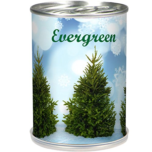 Top 10 Best Christmas Tree Seeds Top Reviews No Place Called Home