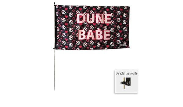 dune buggy flags