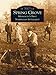 Spring Grove: Minnesota's First Norwegian Settlement (Images of America) by Chad Muller