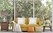American Pillowcase Euro Shams 26x26 Set of 2 Pillow Covers - Luxury 100% Egyptian Cotton (2 Pack, European 26 x 26, White)
