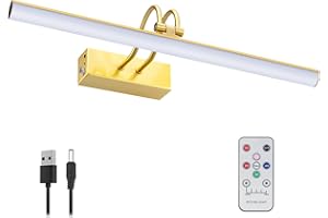 HEAGEERO Battery Operated Picture Light with Remote Control, Wireless Picture Lights for Paintings with Timer and Dimmable, 16" Art Light for Wall Paintings, Frame, Photos.(Brass)
