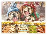 Avanti Press Christmas Cards, How Much is That Cookie in The Window, 20 Count (32563)