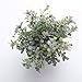 HC STAR Artificial Plant Potted Mini Fake Plant Decorative Lifelike Flower Green Plants