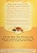 Yogi Tea Herbal Tea, Soothing Caramel Bedtime 1.07 oz (Pack of 2)