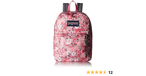 jansport digibreak amazon