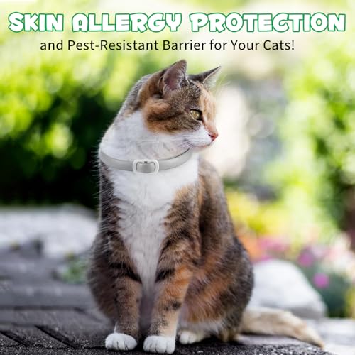 Collar for Cats, 4 Pack Collar for Kittens & Adult Cats, Adjustable & Waterproof Design (Grey)