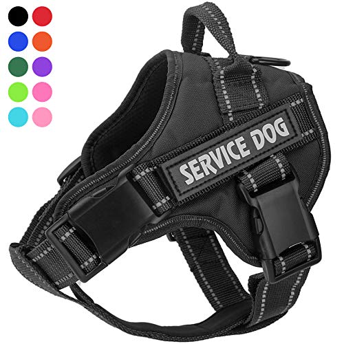 Compare price to human pulling harness