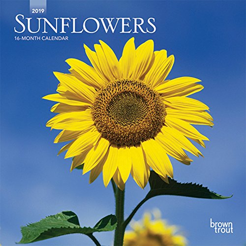 Sunflowers 2019 7 x 7 Inch Monthly Mini Wall Calendar, Flower Outdoor Plant (Multilingual Edition) Sunflowers 2019 7 x 7 Inch Monthly Mini Wall Calendar, Flower Outdoor Plant (Multilingual Edition)