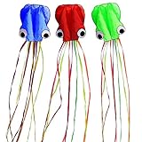 Hengda Kite-Pack 3 Colors Beautiful Large Easy Flyer Kite for Kids-software octopus-It's BIG! 31 Inches Wide with Long Tail 157 Inches Long-Perfect for Beach or Park by Hengda kite