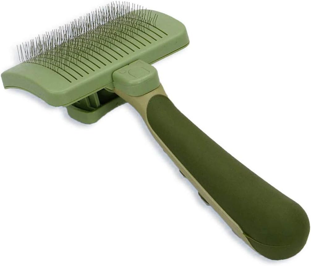 dino bite dog food reviews