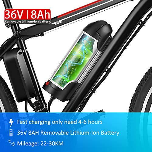 aceshin electric bike