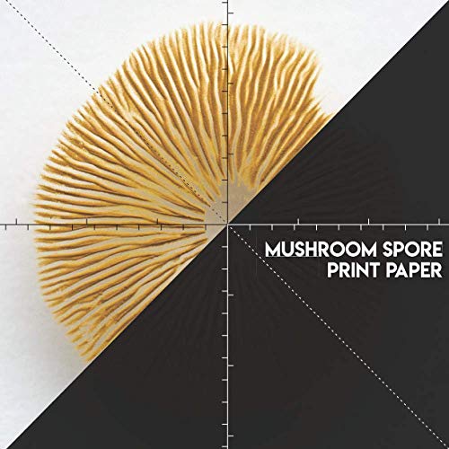Mushroom Spore Print Paper A Mushroom Spore Book to Make Your Own