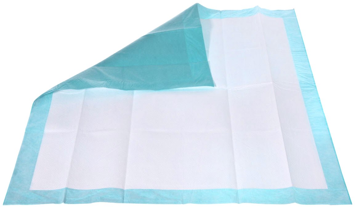 Amazon.com : Disposable Chux Underpad 10 Count (Size 29.5
