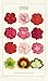 Cavallini Papers & Co Cavallini Vintage Fleurs Cotton Tea Towel