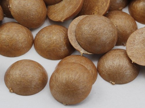 9mm Wood .WD1 Flat Back Acrylic Round Cabochons Plastic Pearl Gems For Jewelry Making Costume Making Cosplay Jewels Embelishments - 75 Pieces — image 1