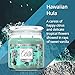 Aroma From Nature Hawaiian Hula 13 oz Home Collection Scented Candle – 1 Pack – Aromatherapy Candles – Home Fragrance – Apothecary Glass With Triple Wickthumb 2