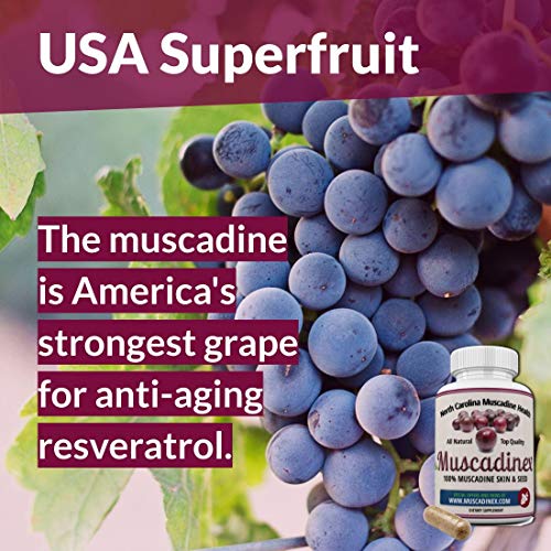 Longevity Muscadinex Plus MX1. Grape Resveratrol, Ellagic Acid