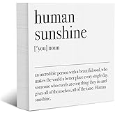 YYDS Motivational Definition Decorative Wooden Box Sign Inspirational Rustic Office Desk Decorations Positive Affirmations Farmhouse Encouraging Wood Block Plaque Home Shelf Tabletop Cubicle Decor