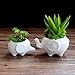 WISH HALLY WOOD Set of 2 Cute Elephant Flower Pot,Modern White Ceramic Succulent Planter Pots/Tiny Flower Plant Containers (Elephant)