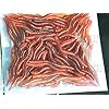 80pcs-Earthworm-Red-Worms-Soft-Fishing-Lure-Baits