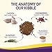 Wellness Natural Pet Food Complete Health Grain Free Dry Indoor Salmon & Herring Cat Food, 5.5 lb