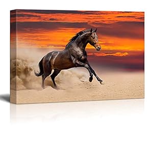 Beautiful Bay Horse Running on The Desert at...