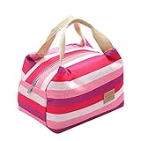 Sandistore Picnic Insulated Food Storage Zipper Box Tote Bento Pouch Lunch Bag