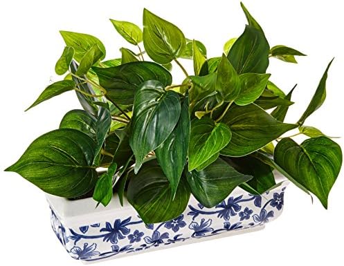 Designs by Lauren Ivy Ledge Plant In A White Ceramic Vase with French Blue Scroll Pattern, 10" L