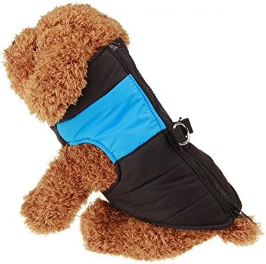 Kimfoxes Pet Winter Cotton Clothes Dog Warm Waterproof Jacket Cold Weather Outdoor Snowproof Coat for Small Medium Large Dogs(L,Blue)