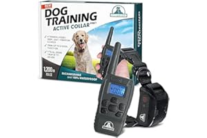 Pet Union PT0Z1 Premium Dog Training Shock Collar, Fully Waterproof, 1200ft Range (Charcoal)