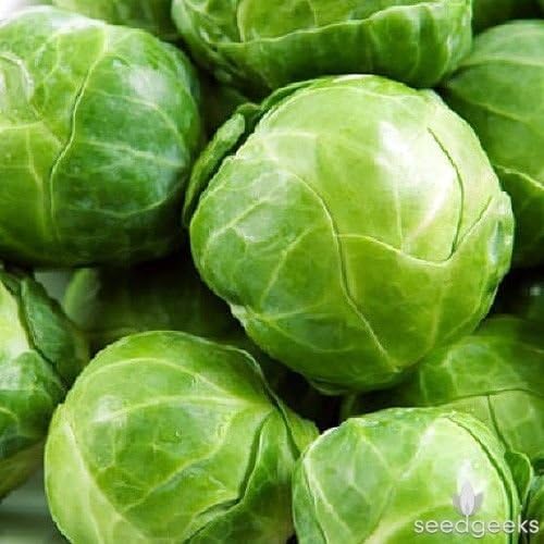 500+ de cultivo ecológico Long Island Mejora Coles de Bruselas ...