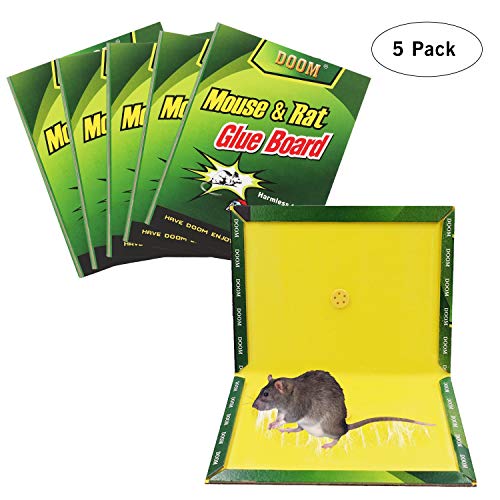 FYUFY Mouse Trap,Mouse Rat Glue Boards,(5-Pack) Mouse Glue Traps,Mouse Size Glue Traps Sticky Boards Mouse Catcher Mice Professional Strength Glue Insect Lizard Spider Cockroach Rodent Snake Strongly FYUFY Mouse Trap,Mouse Rat Glue Boards,(5-Pack) Mouse Glue Traps,Mouse Size Glue Traps Sticky Boards Mouse Catcher Mice Professional Strength Glue Insect Lizard Spider Cockroach Rodent Snake Strongly