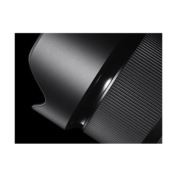 Sigma 20mm F1,4 DG HSM Art Objektiv für Canon Objektivbajonett – Bild 7