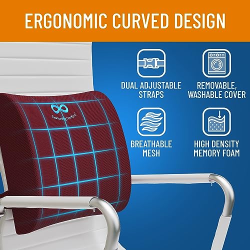 Everlasting Comfort The Original Lumbar Support Pillow Improves