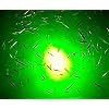 DOCK-LIGHT-110-volt-Green-Underwater-Fishing-LED-Blob-300-Night-Fishing-Light-Green-Blob-Outdoors