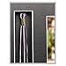 Imaging Expressions Graduation Frame Black, Tassel Holder & 5x7 Picture Opening, Black Shadowbox with Glass, Easel Included for Table or Desk Use (2019)