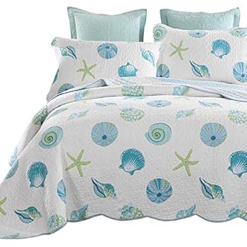 Amazon.com: Brandream Seashells Beach Themed Coastal